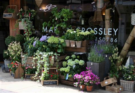 windsor flower shop.